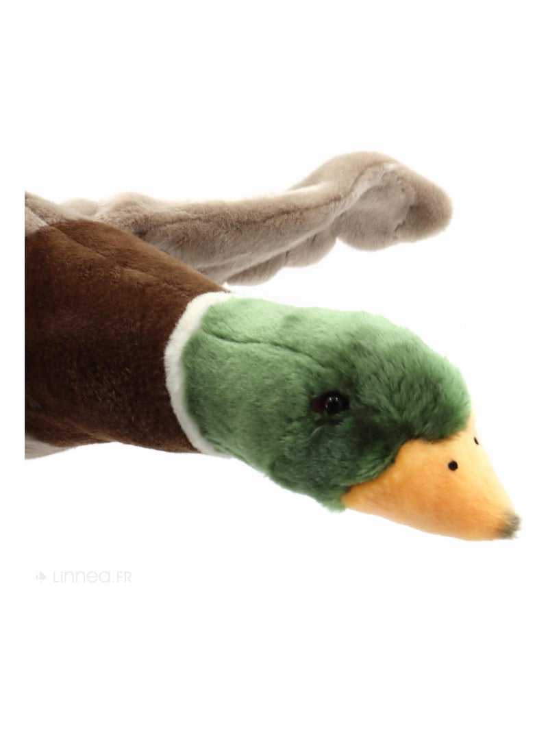 Peluche à suspendre Gris - Kiabi