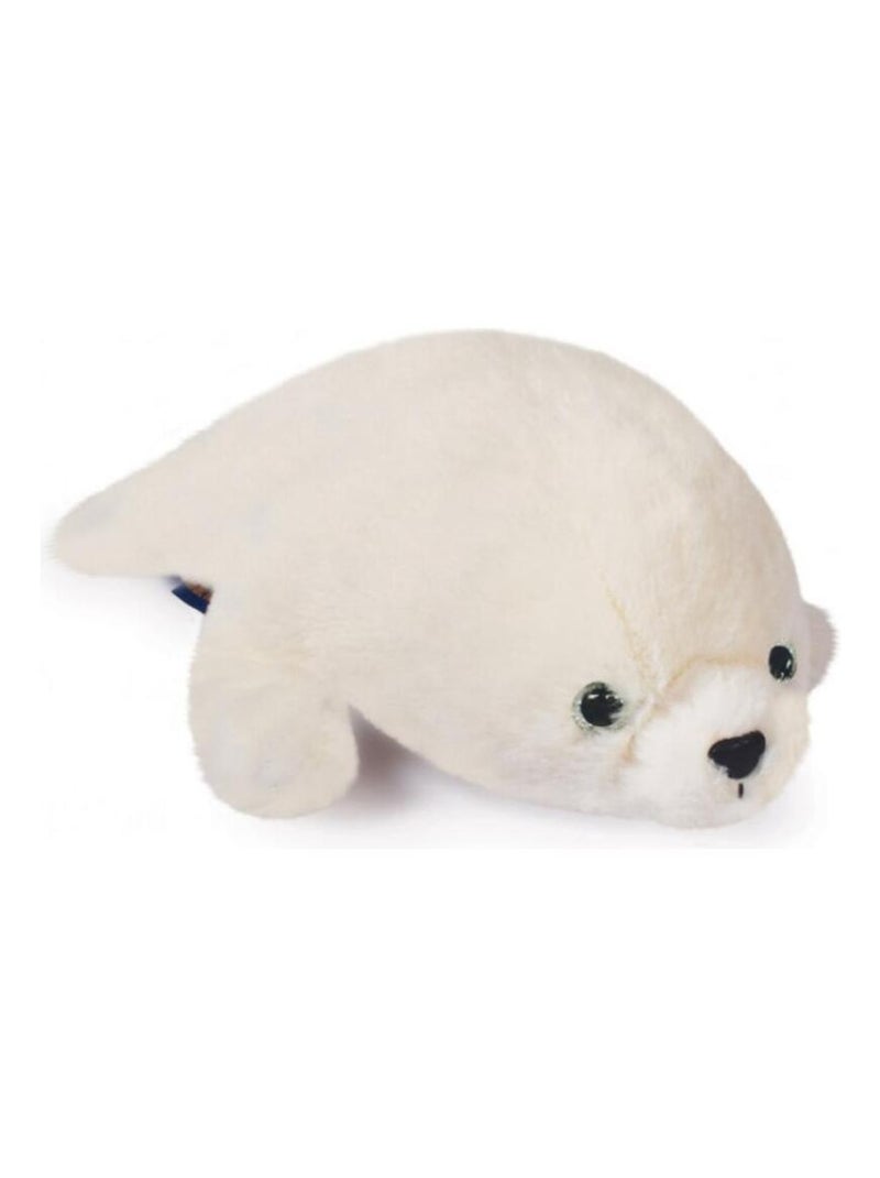 Peluche Bébé Phoque Trésors Marins (35 Cm) Blanc - Kiabi