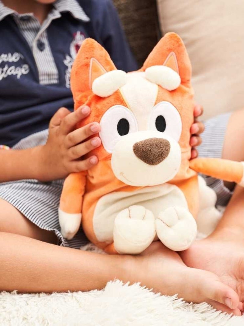 Peluche Bouillotte Bingo - Made in France Marron - Kiabi