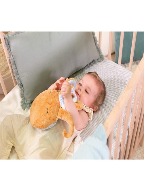 Peluche bouillotte chaud et froid Poulpe - Kiabi