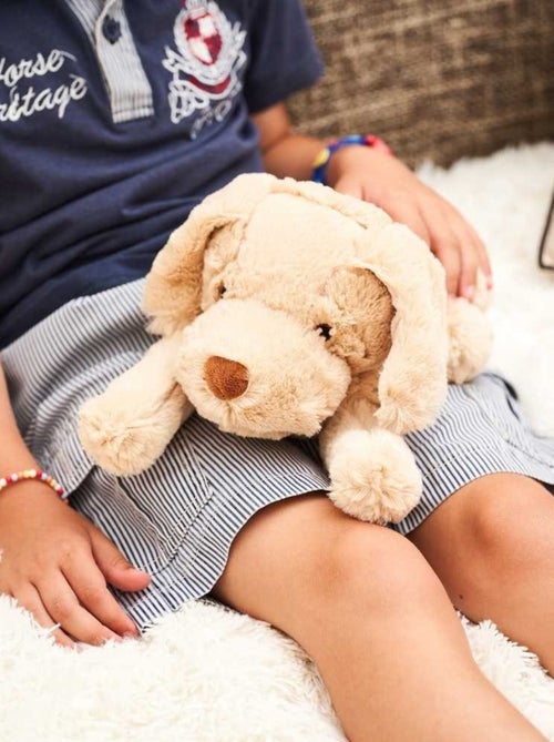 Peluche Bouillotte Chien - Made in France - Kiabi