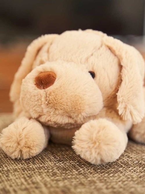 Peluche Bouillotte Chien - Made in France - Kiabi