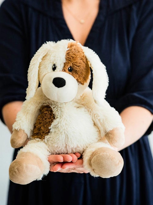 Peluche Bouillotte Chien - Kiabi Peluche Bouillotte Chien - Kiabi