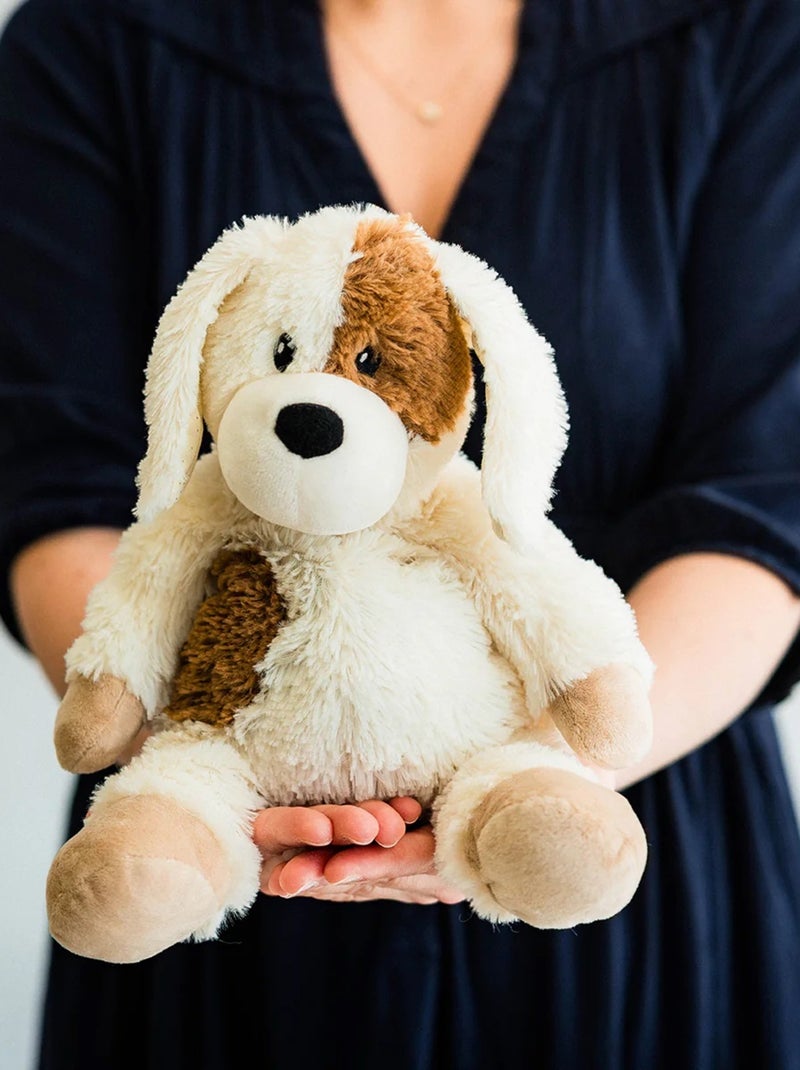 Peluche Bouillotte Chien Beige - Kiabi