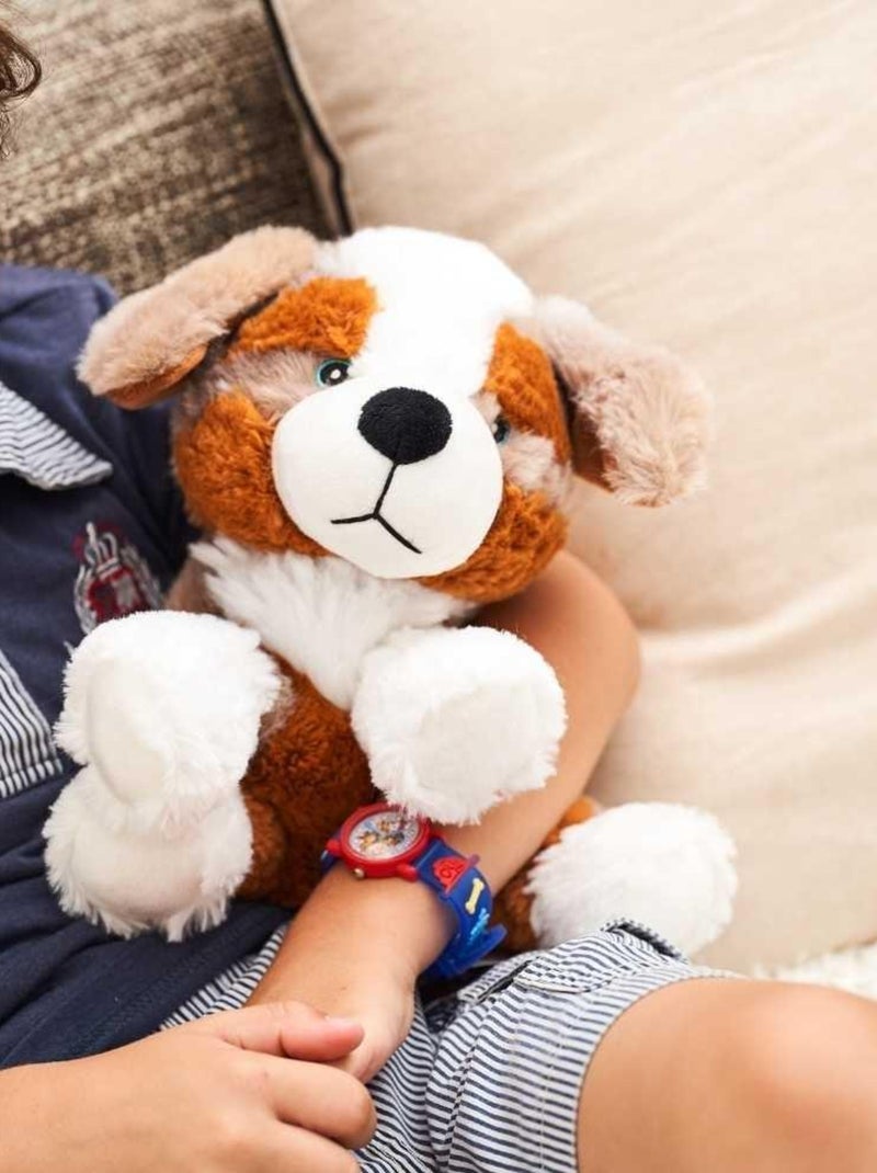 Peluche Bouillotte Chien Berger - Made in France Blanc - Kiabi