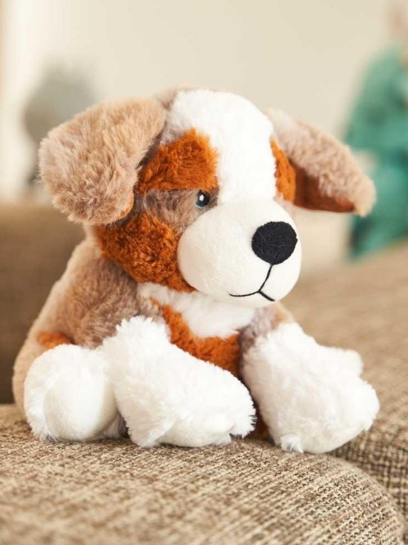 Peluche Bouillotte Chien Berger - Made in France Blanc - Kiabi