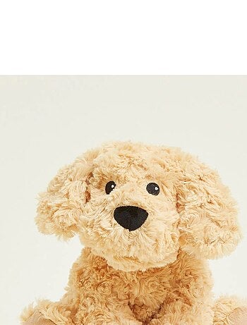 Peluche Bouillotte Chien bouclé