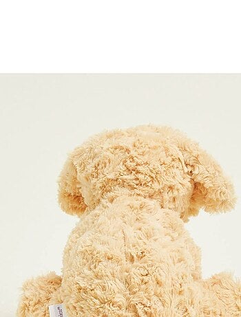 Peluche Bouillotte Chien bouclé