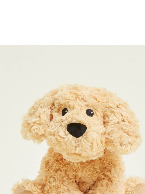 Peluche Bouillotte Chien bouclé - Kiabi