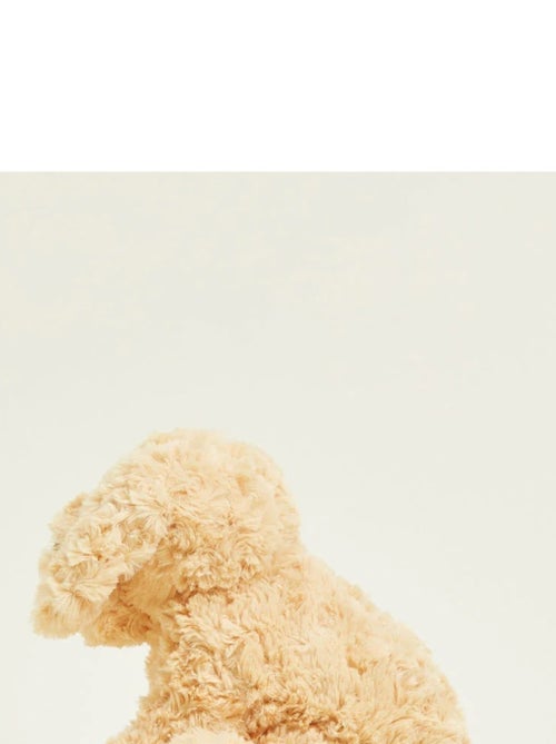 Peluche Bouillotte Chien bouclé - Kiabi