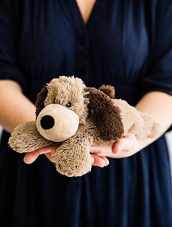 Peluche Bouillotte Chien Junior