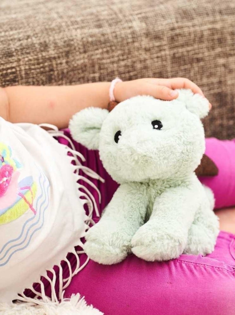 Peluche Bouillotte Dragon - Made in France Vert - Kiabi