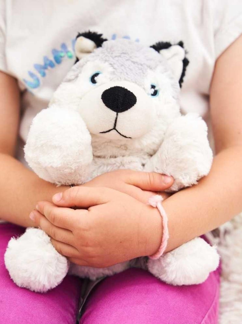 Peluche Bouillotte Husky - Made in France Blanc - Kiabi