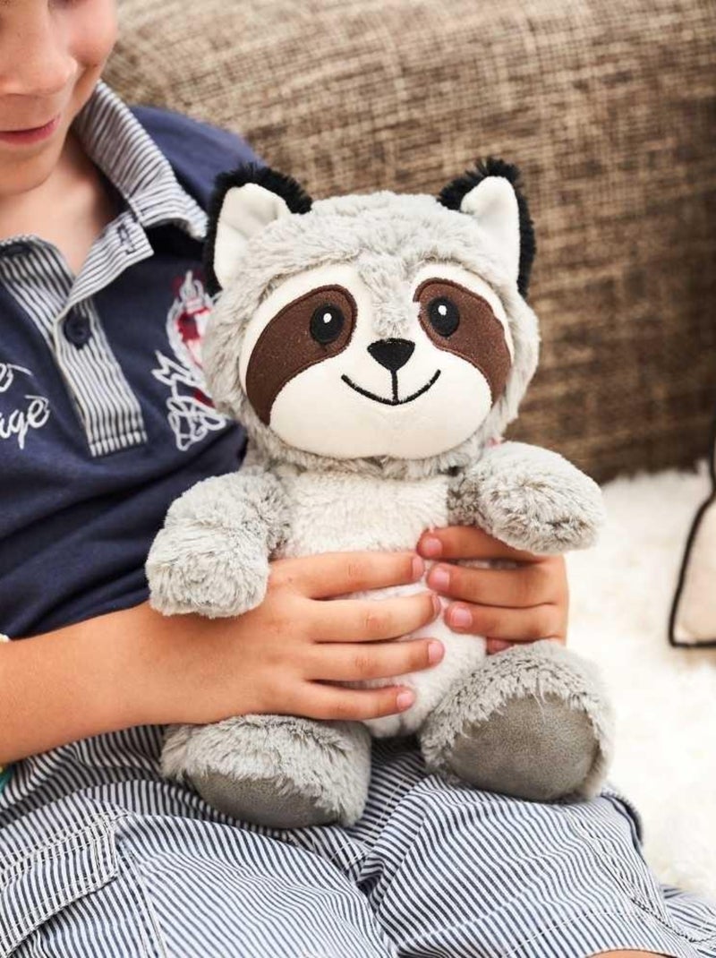 Peluche Bouillotte Raton Laveur - Made in France Gris - Kiabi