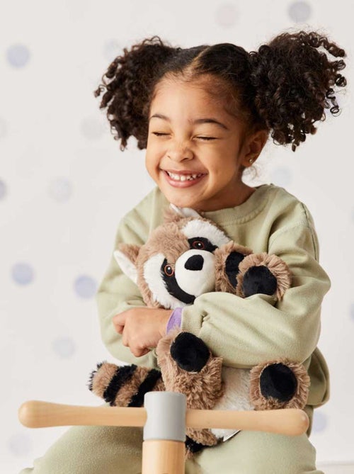 Peluche Bouillotte Raton Laveur - Kiabi