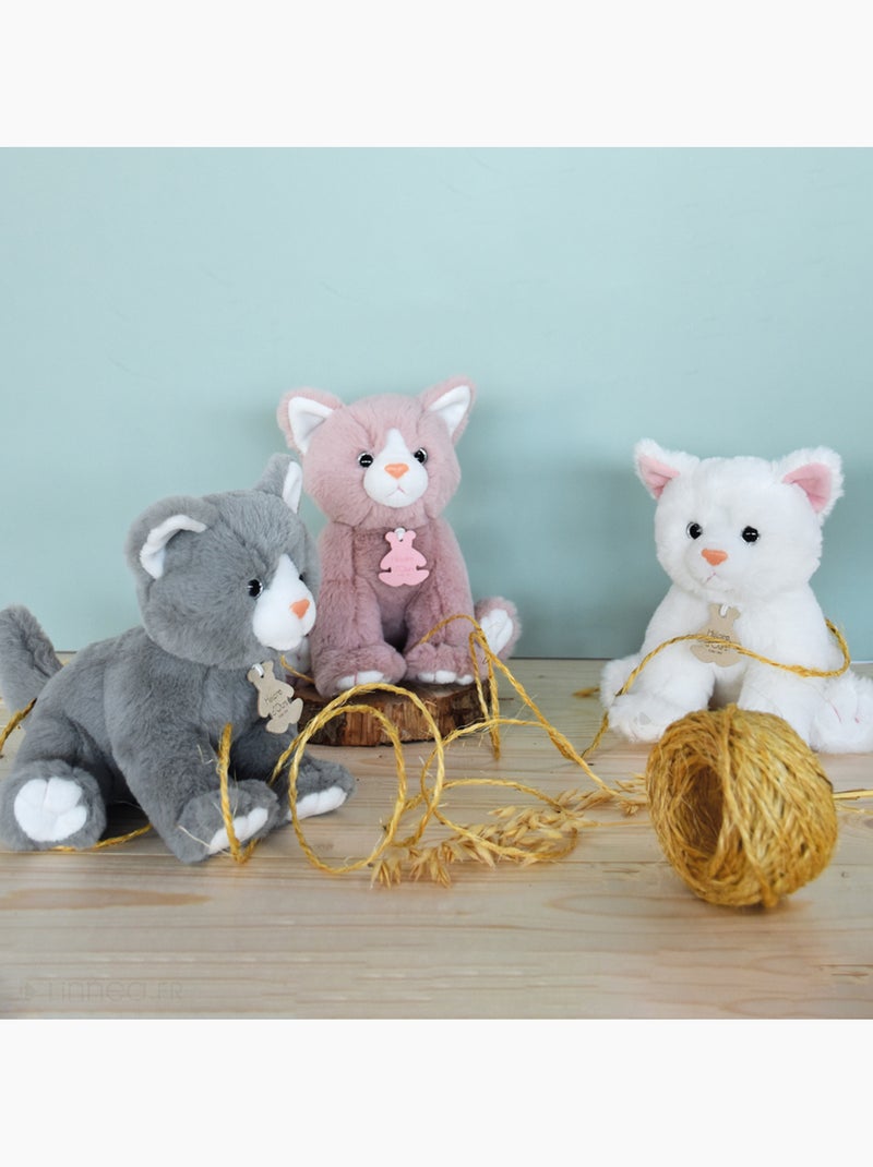 Peluche chat polyester collection LUCKY Blanc - Kiabi