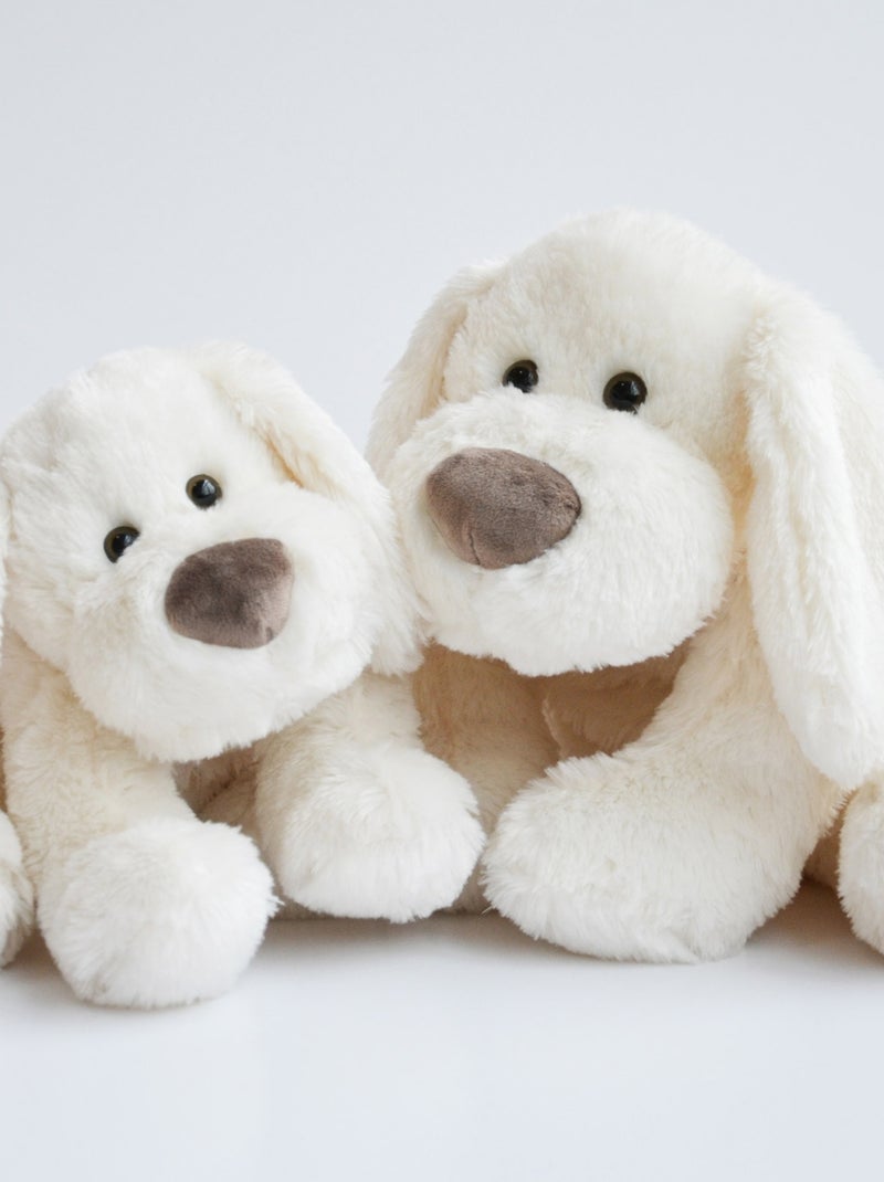 Peluche Chien Cookie 40 cm Beige - Kiabi