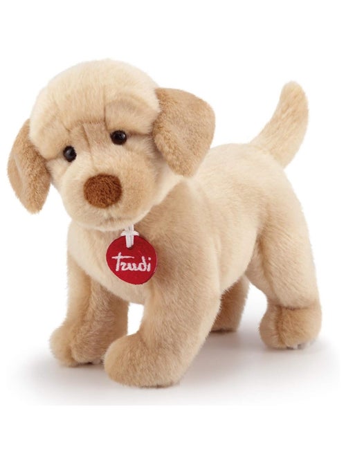 Peluche Chien Labrador 19 cm - Kiabi