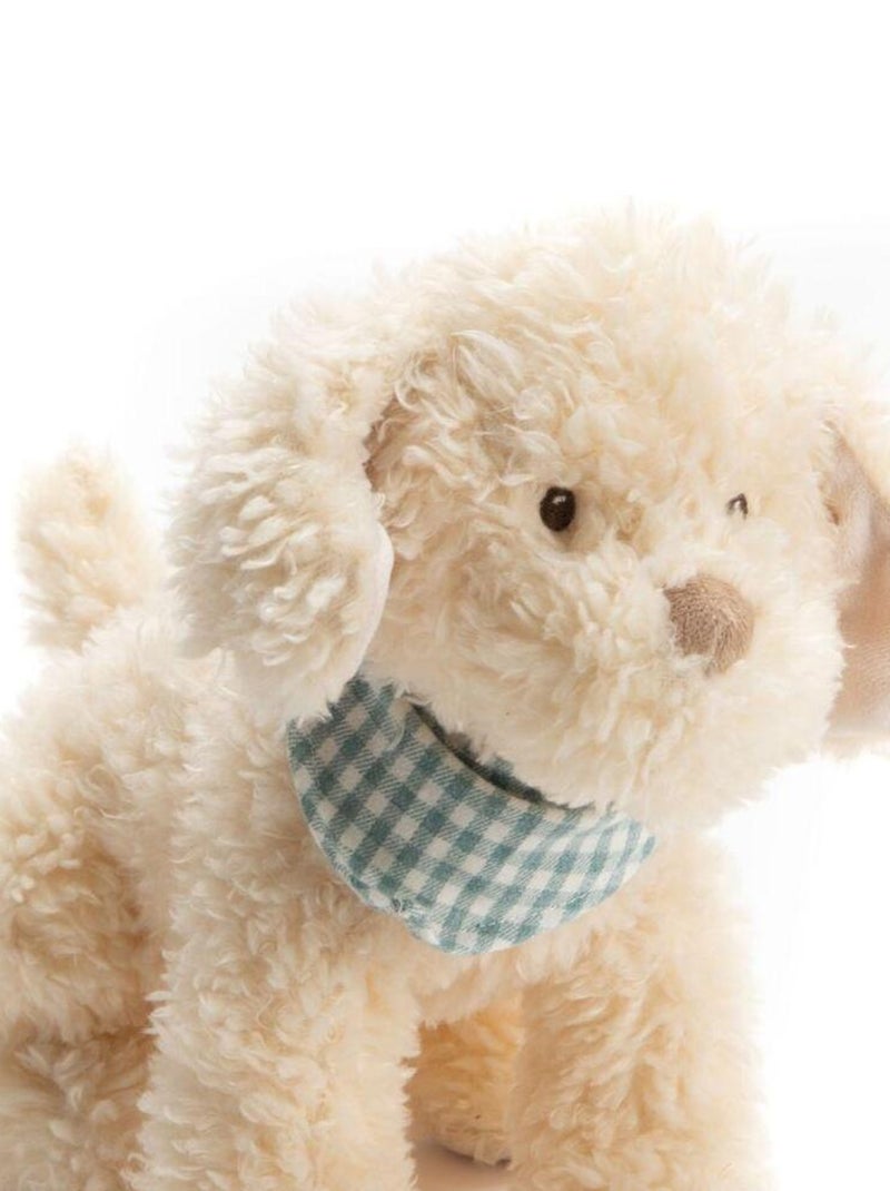 Peluche chien Lucien (31 cm) Ecru - Kiabi