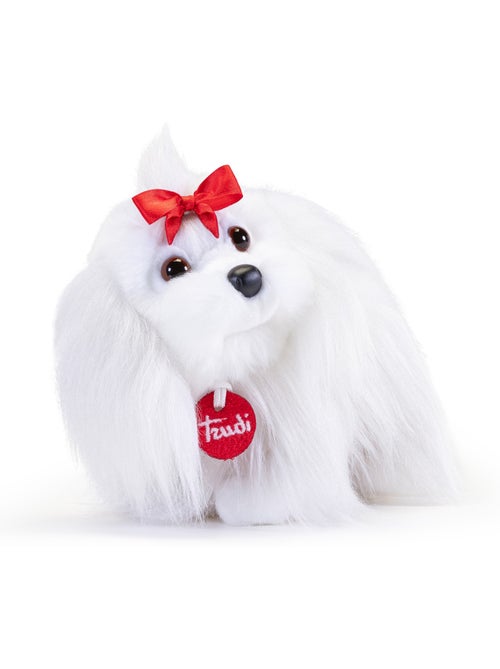 Peluche Chien Maltais 22 cm - Kiabi