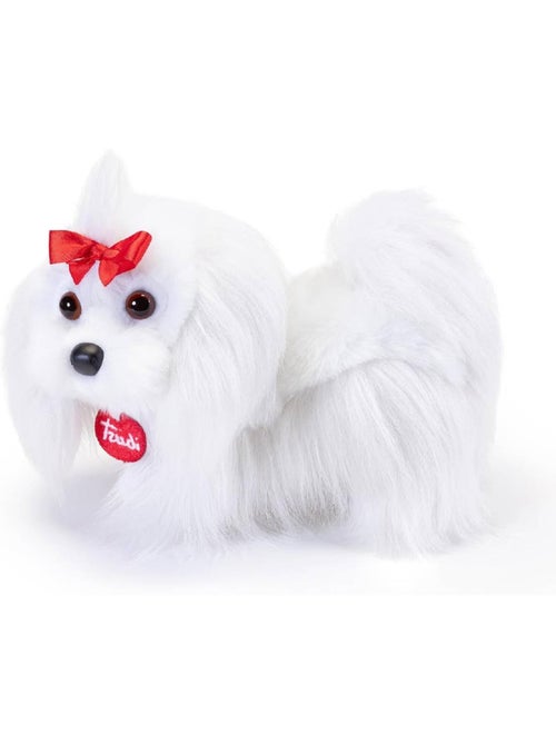 Peluche Chien Maltais 22 cm - Kiabi