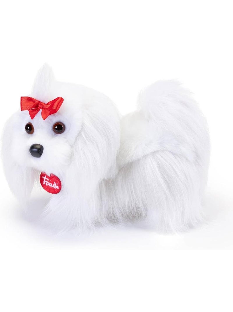 Peluche Chien Maltais 22 cm Blanc - Kiabi