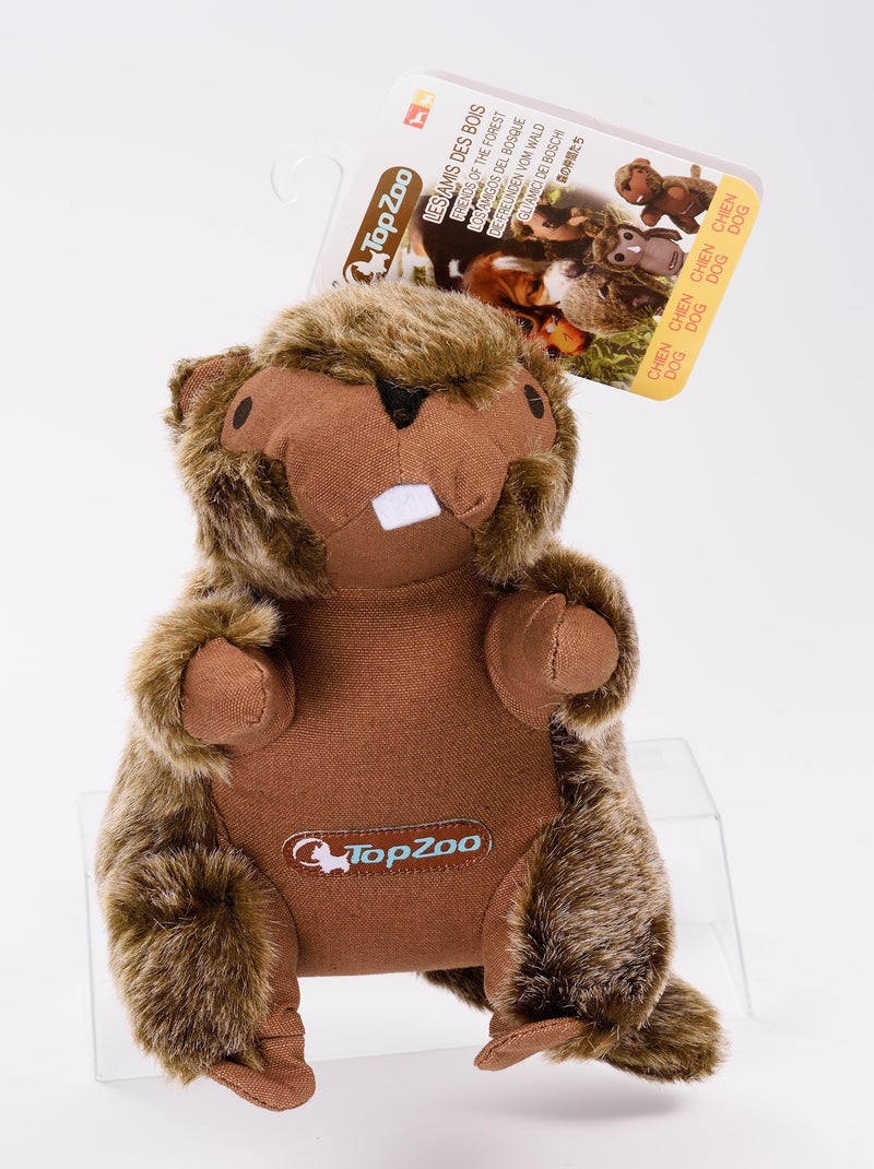 Peluche chien Marmotte Marron - Kiabi