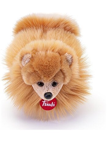 Peluche chien poméranien 22 cm