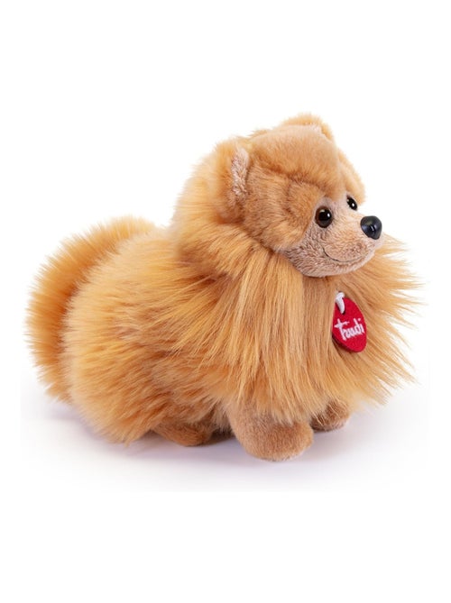 Peluche Chien Poméranien 22 cm - Kiabi