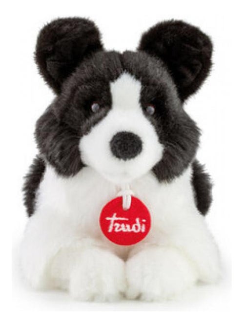 peluche chien Scott le border Collie - Kiabi