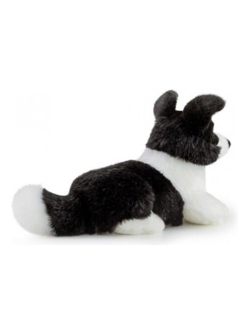 peluche chien Scott le border Collie - Kiabi