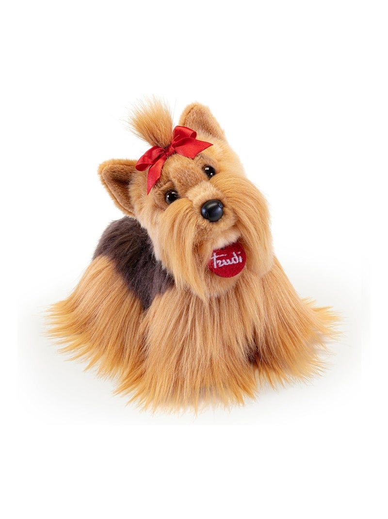 Peluche Chien Yorkshire 21 cm Marron - Kiabi