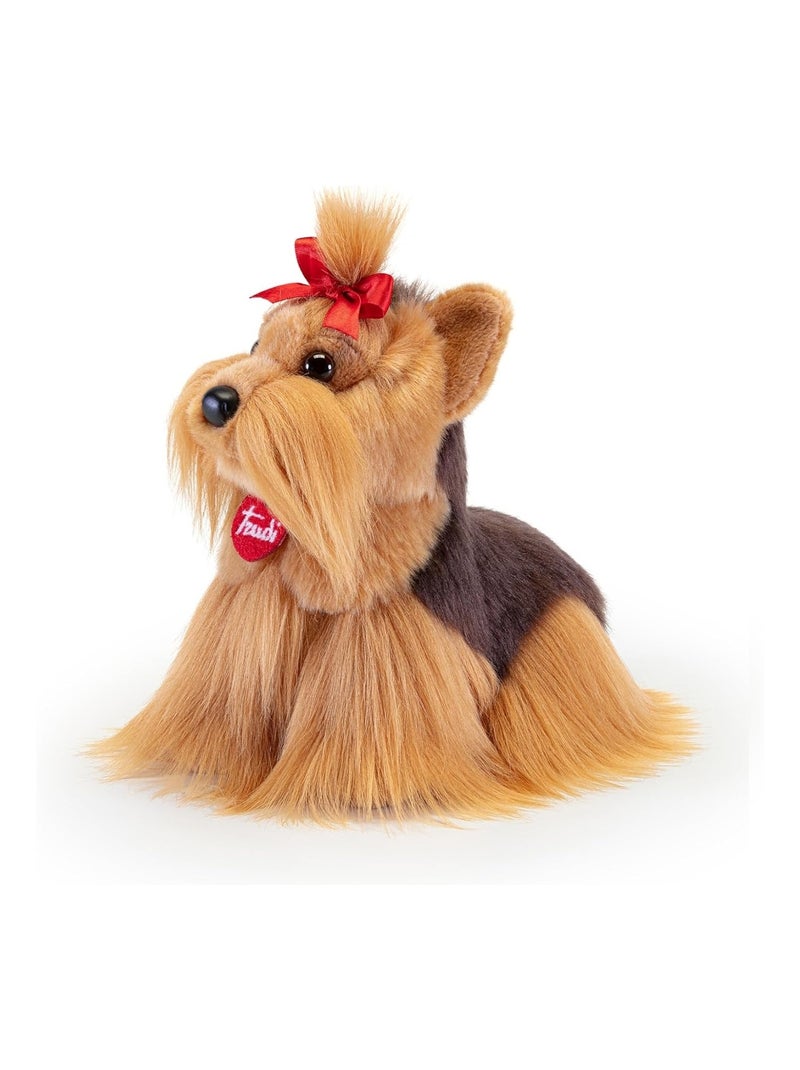 Peluche Chien Yorkshire 21 cm Marron - Kiabi