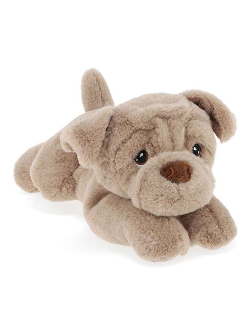Peluche chiot Shar-Pei éco responsable KeelECO Beige - Kiabi