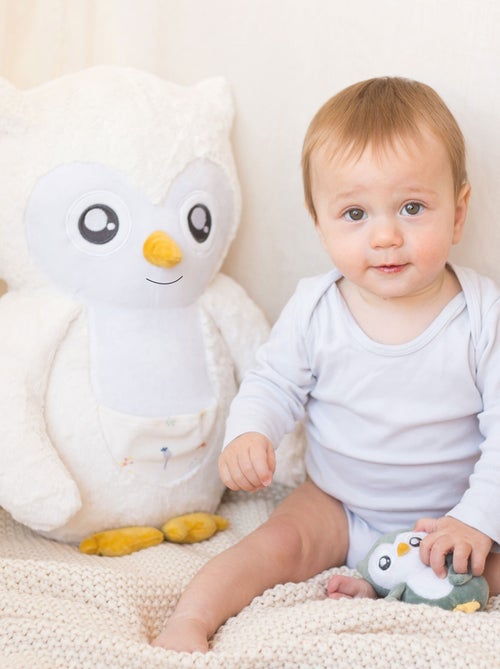 Peluche Chouette Et Son Bébé (44 Cm) - Kiabi