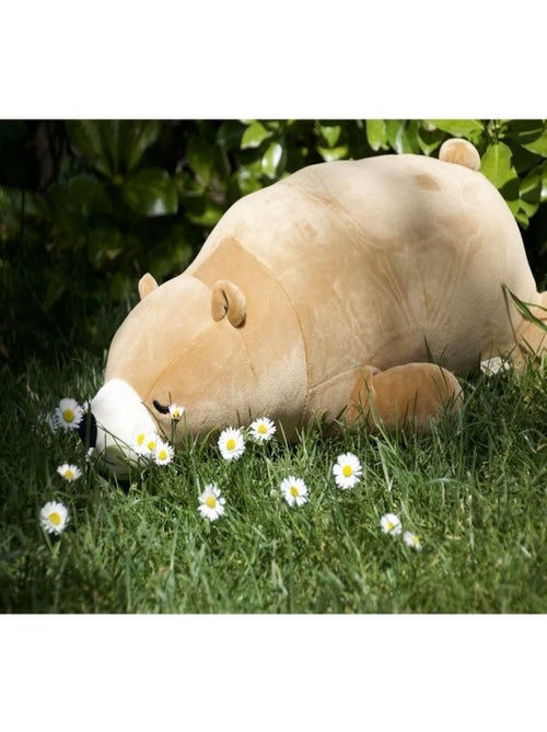 Peluche Cookie l'ours brun 53 cm - Kiabi
