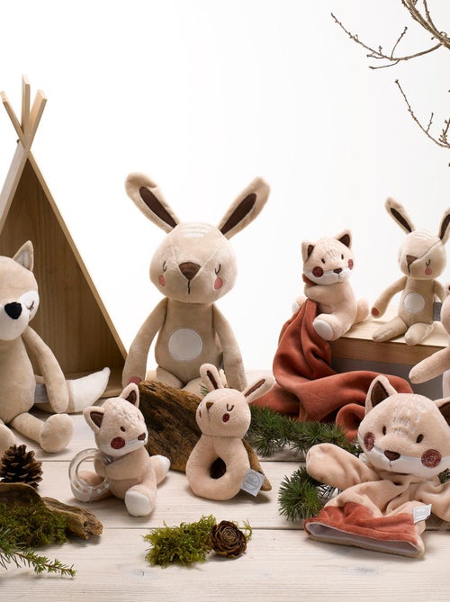 Peluche doudou Alain le lapin - Kiabi