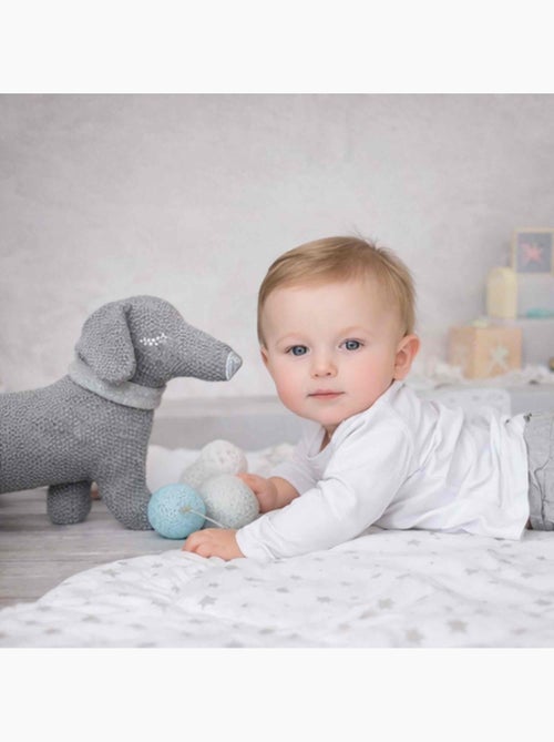 Peluche  doudou chien TECKEL SEVIRA KIDS - Kiabi