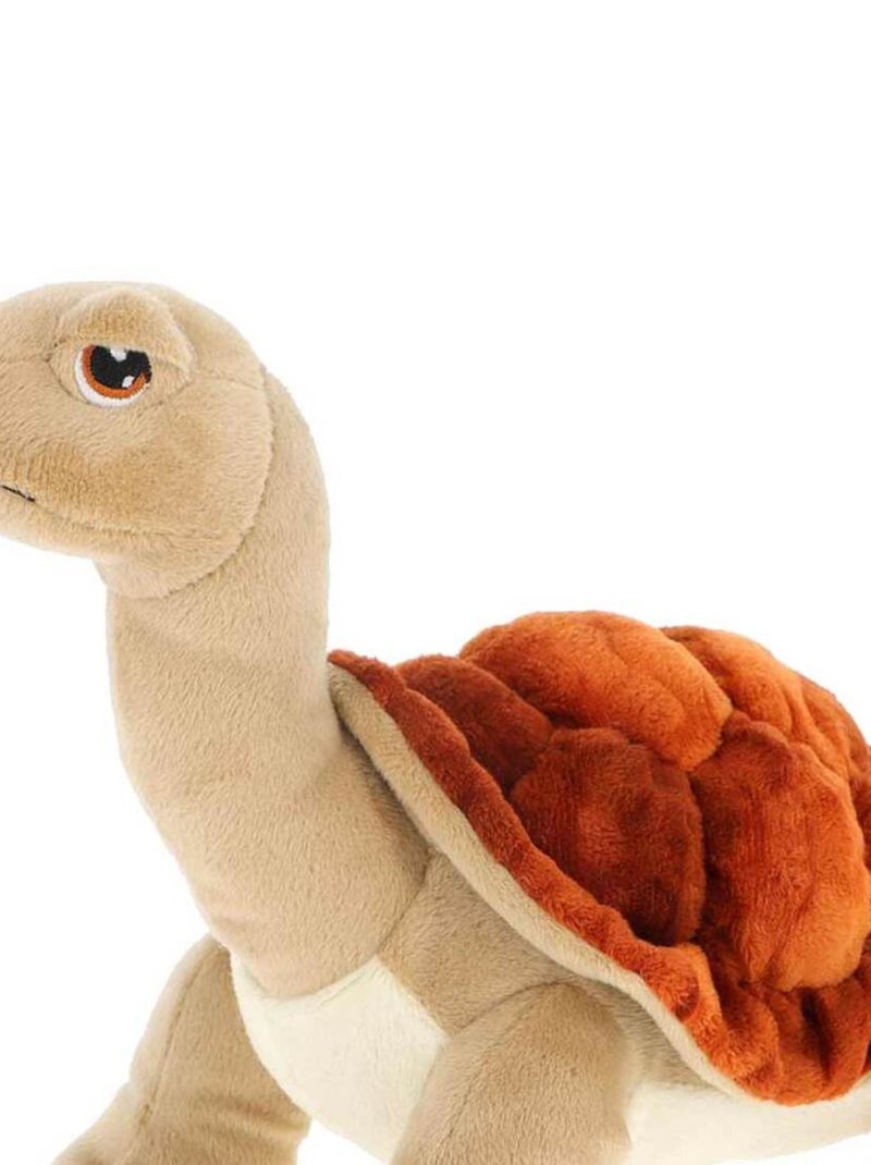 Peluche éco-responsable tortue terrestre Marron - Kiabi