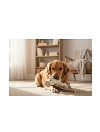 Peluche éléphant pour chien