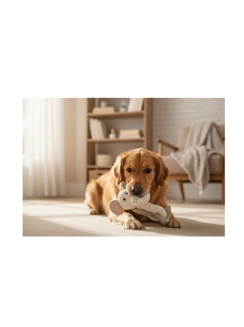 Peluche éléphant pour chien Blanc - Kiabi