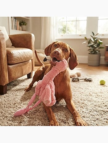 Peluche flamant rose grand yeux pour chien