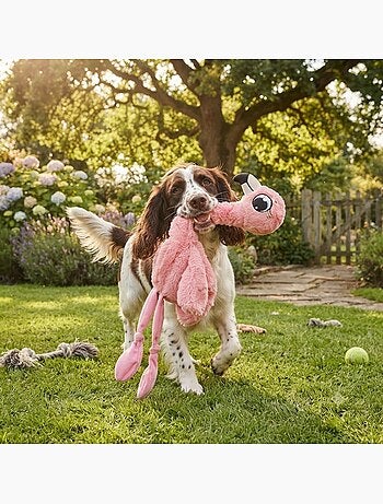 Peluche flamant rose grand yeux pour chien