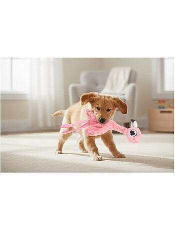 Peluche flamant rose grand yeux pour chien