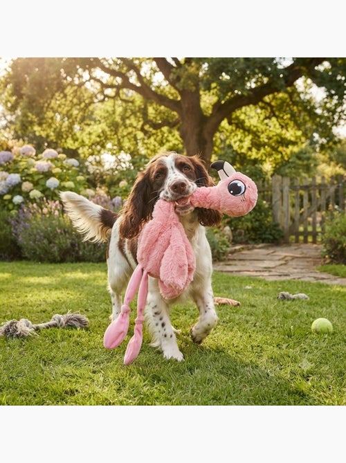 Peluche Flamant rose grand yeux pour chien - Kiabi