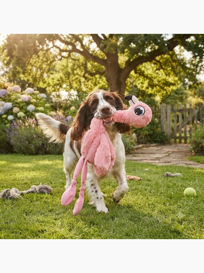 Peluche flamant rose grand yeux pour chien Rose - Kiabi