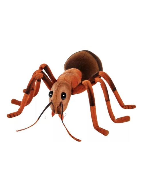 Peluche fourmi - 23 cm - 'Anima' - Kiabi