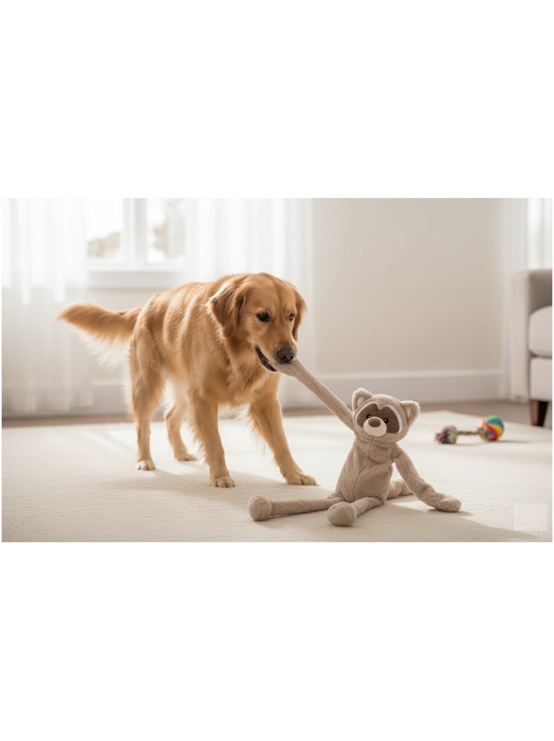 Peluche Géante sonore pour chien Raton laveur Taupe - Kiabi