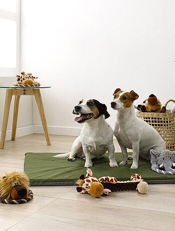 Peluche girafe avec corde pour chien