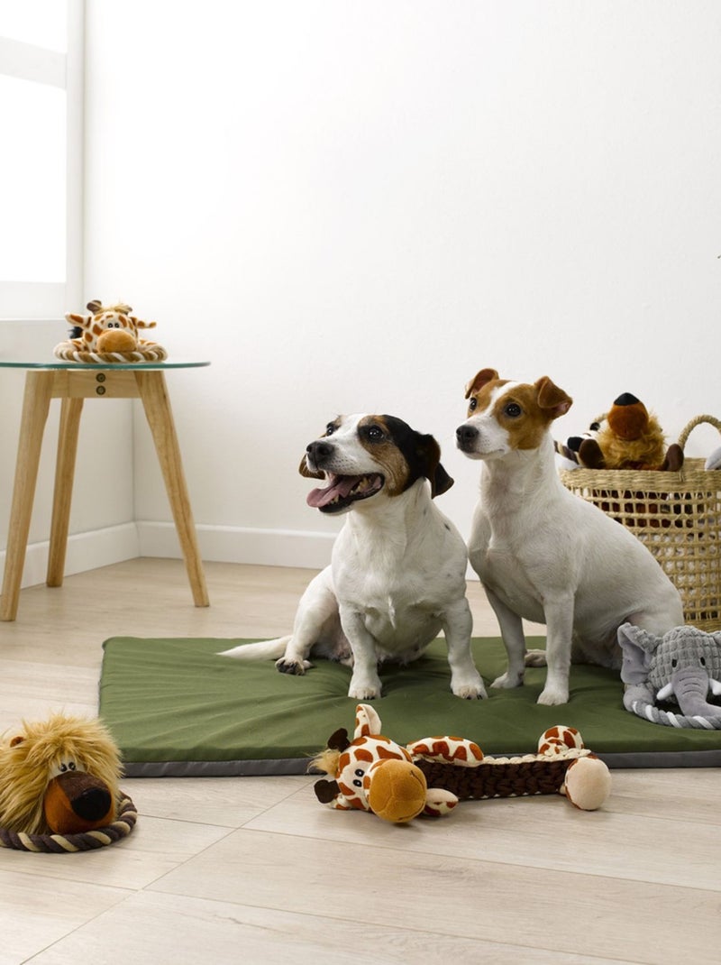 Peluche girafe avec corde pour chien Marron - Kiabi